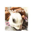 メロンさん2（個別スタンプ：14）