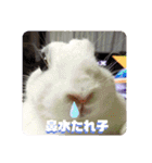 メロンさん2（個別スタンプ：20）