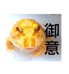 カエルさんベルツノガエル5（個別スタンプ：2）