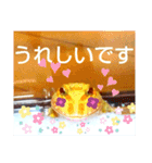 カエルさんベルツノガエル5（個別スタンプ：9）