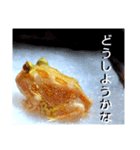カエルさんベルツノガエル5（個別スタンプ：13）