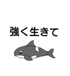 SeaFriends！（個別スタンプ：13）