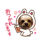 ちわぷーとちわわの仲良しスタンプ（個別スタンプ：9）