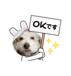 キュートな犬スタンプ♫（個別スタンプ：2）