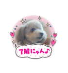 キュートな犬スタンプ♫（個別スタンプ：4）