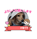 キュートな犬スタンプ♫（個別スタンプ：8）