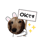 キュートな犬スタンプ♫（個別スタンプ：10）