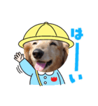 キュートな犬スタンプ♫（個別スタンプ：14）