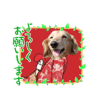キュートな犬スタンプ♫（個別スタンプ：15）