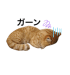 ねこもふ生活スタンプ（個別スタンプ：14）