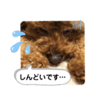 茶娘ショコラの日常（個別スタンプ：8）