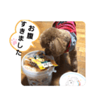 茶娘ショコラの日常（個別スタンプ：16）
