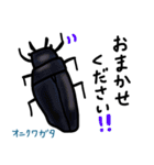 こども虫（個別スタンプ：13）