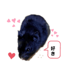 クロン♥️スタンプ3（個別スタンプ：1）