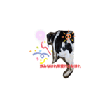 cowcow0008（個別スタンプ：2）