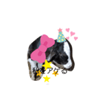 cowcow0008（個別スタンプ：3）