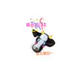 cowcow0008（個別スタンプ：4）