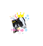 cowcow0008（個別スタンプ：5）