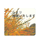 言の葉 〜自然〜お見舞い（個別スタンプ：6）