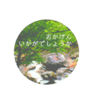 言の葉 〜自然〜お見舞い（個別スタンプ：7）