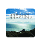 言の葉 〜自然〜お見舞い（個別スタンプ：9）