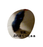 クロン♥️スタンプ2（個別スタンプ：7）