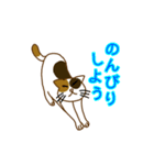 毎日ミケ（個別スタンプ：3）