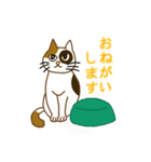 毎日ミケ（個別スタンプ：4）
