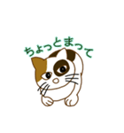 毎日ミケ（個別スタンプ：5）