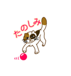 毎日ミケ（個別スタンプ：6）