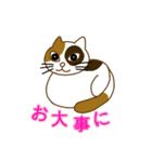 毎日ミケ（個別スタンプ：7）