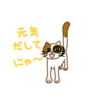 毎日ミケ（個別スタンプ：8）