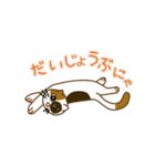 毎日ミケ（個別スタンプ：11）