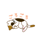 毎日ミケ（個別スタンプ：12）