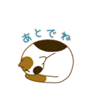 毎日ミケ（個別スタンプ：13）