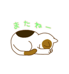 毎日ミケ（個別スタンプ：14）