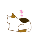 毎日ミケ（個別スタンプ：17）