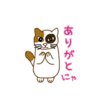 毎日ミケ（個別スタンプ：18）
