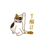 毎日ミケ（個別スタンプ：19）