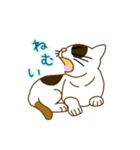 毎日ミケ（個別スタンプ：20）