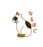毎日ミケ（個別スタンプ：21）