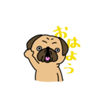 パグの日常(フォーン)（個別スタンプ：1）