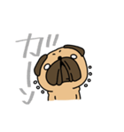 パグの日常(フォーン)（個別スタンプ：3）