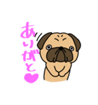 パグの日常(フォーン)（個別スタンプ：6）