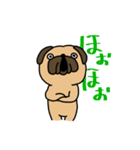 パグの日常(フォーン)（個別スタンプ：9）