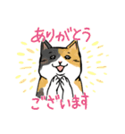 ねこ、あいさつする。（個別スタンプ：4）