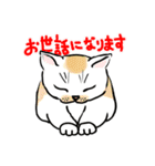 ねこ、あいさつする。（個別スタンプ：5）