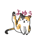 ねこ、あいさつする。（個別スタンプ：14）