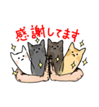 ねこ、あいさつする。（個別スタンプ：19）