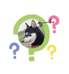 (>_<)maro（個別スタンプ：4）